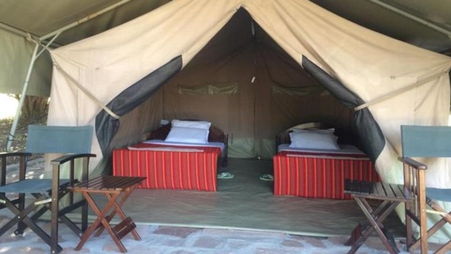 Stay in a Tented Camp in Maasai Mara, Kenya