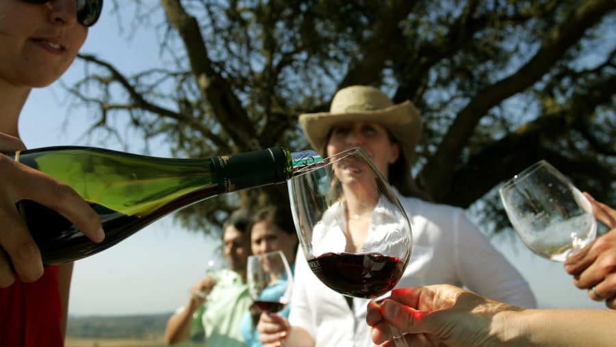 Sip on Chilean wines