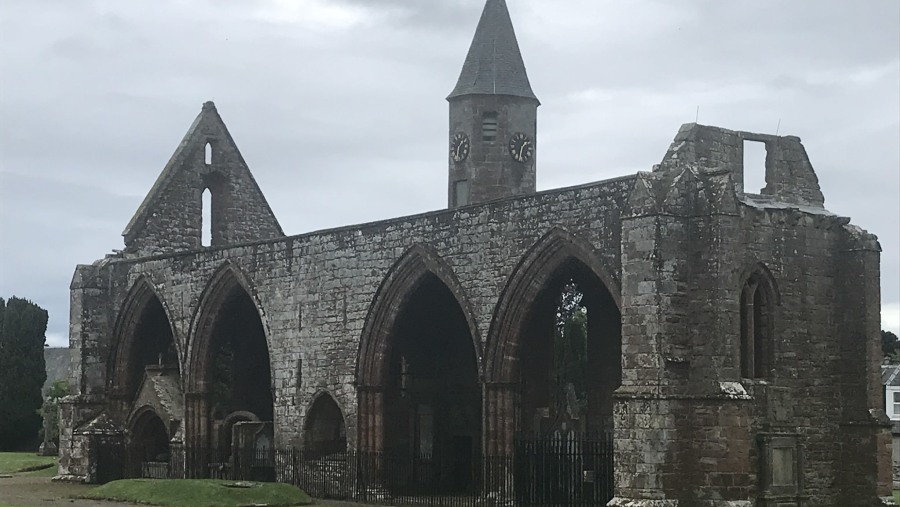 Fortrose Abbey