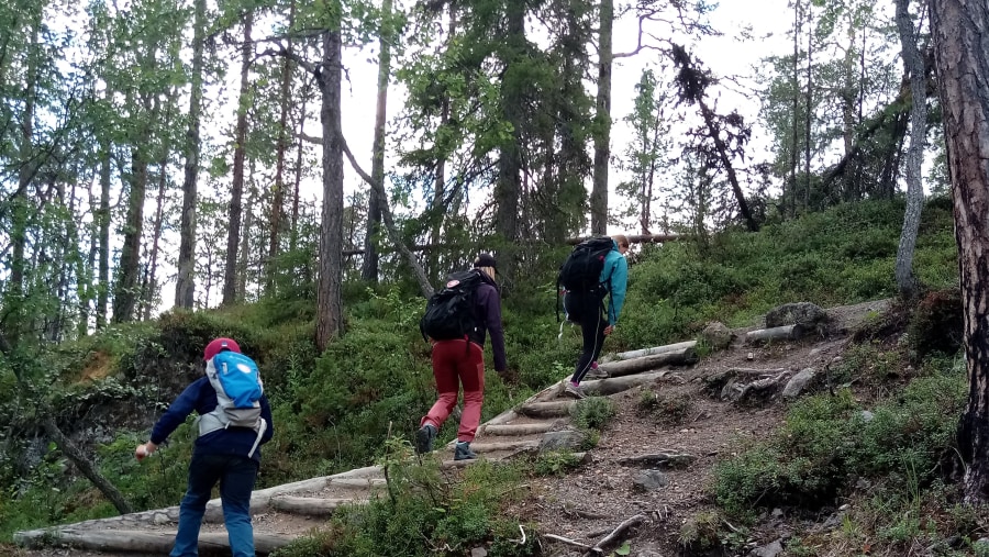 Hiking trail in Oulanka National Park, Finland