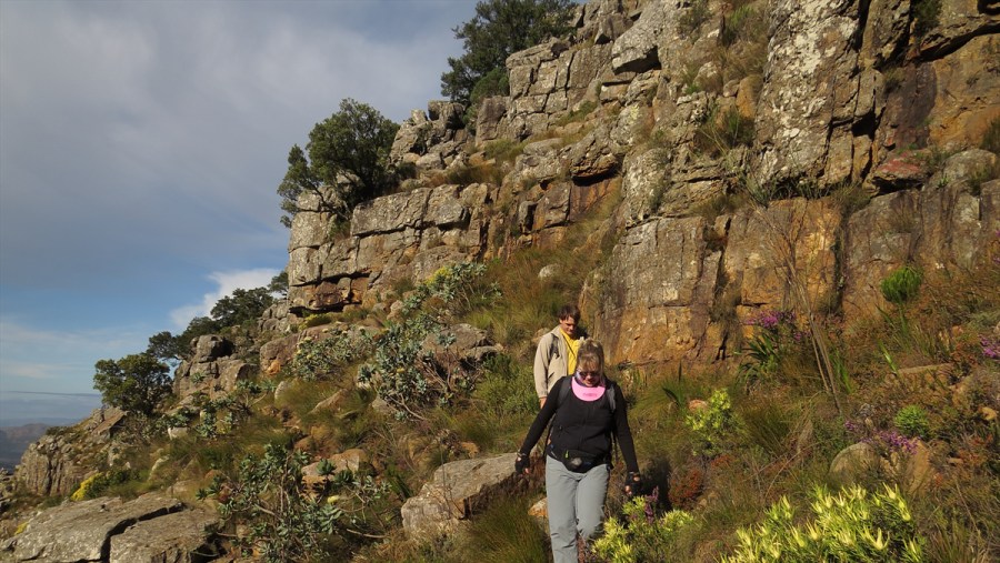 Helderberg Nature Reserve In Cape Town