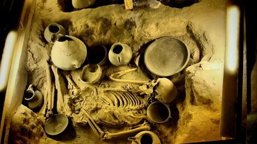 Remains inside the Museum.