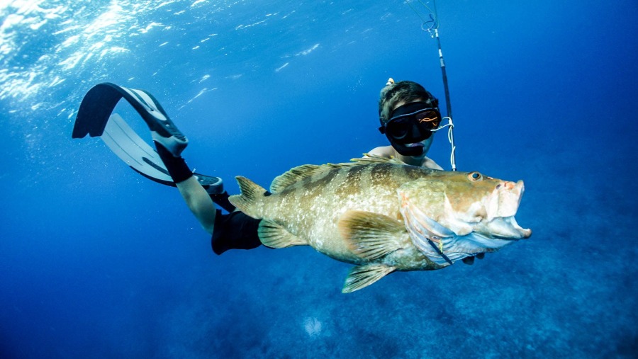 Spearfishing in Cancun