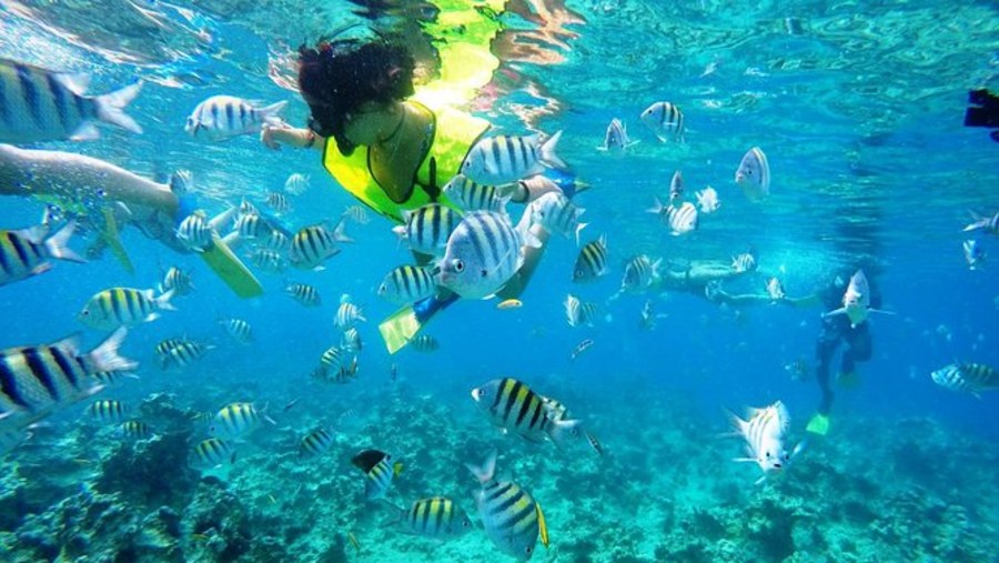 Snorkelling