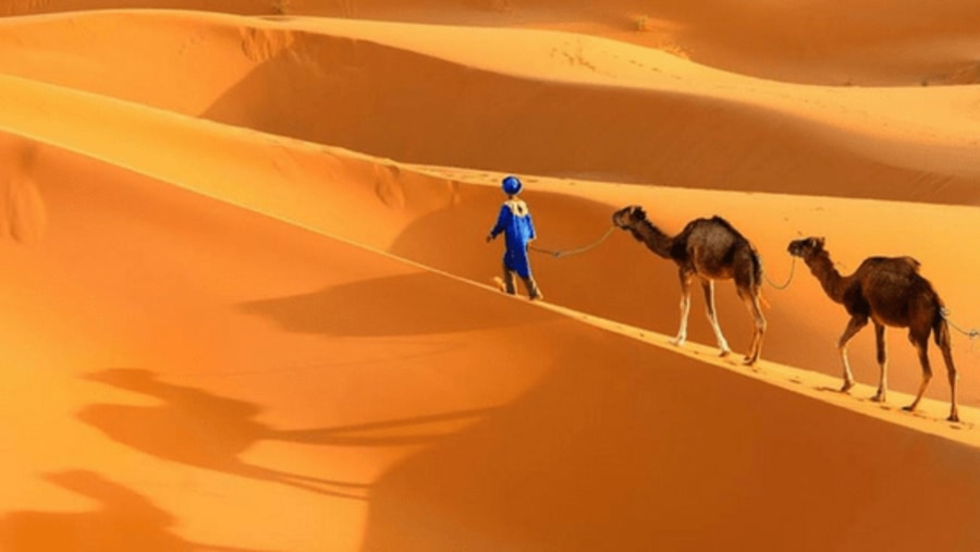 Sahara Desert tour 