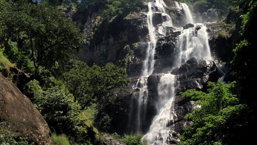 Udzungwa Mountains National Park