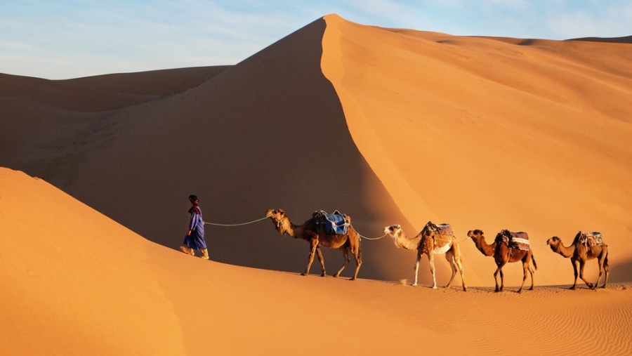 Ride A Camel Across Merzouga Desert