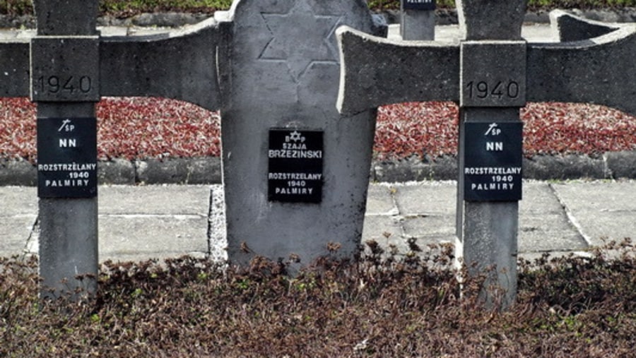 Cemetery in Palmiry