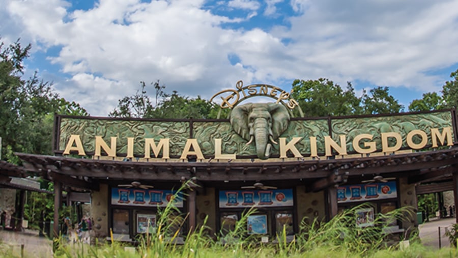 Disney's Animal Kingdom Theme Park