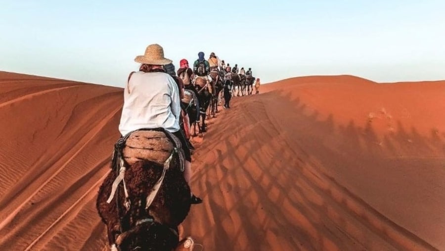 Experience a camel ride in Merzouga