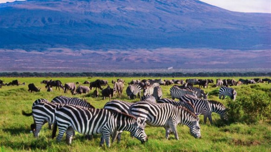 Amboseli National Park