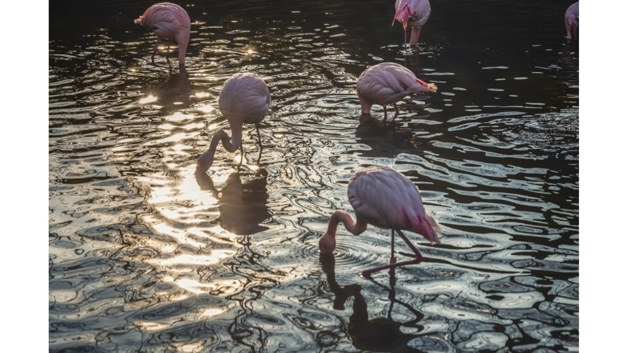 Lake Manyara