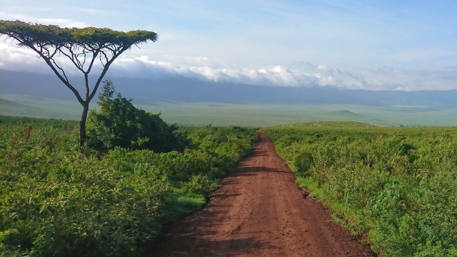 Ngorongoro Crater