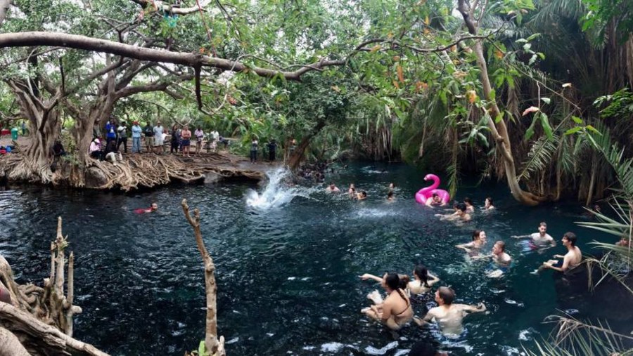 Explore the Kikuletwa Hotspring