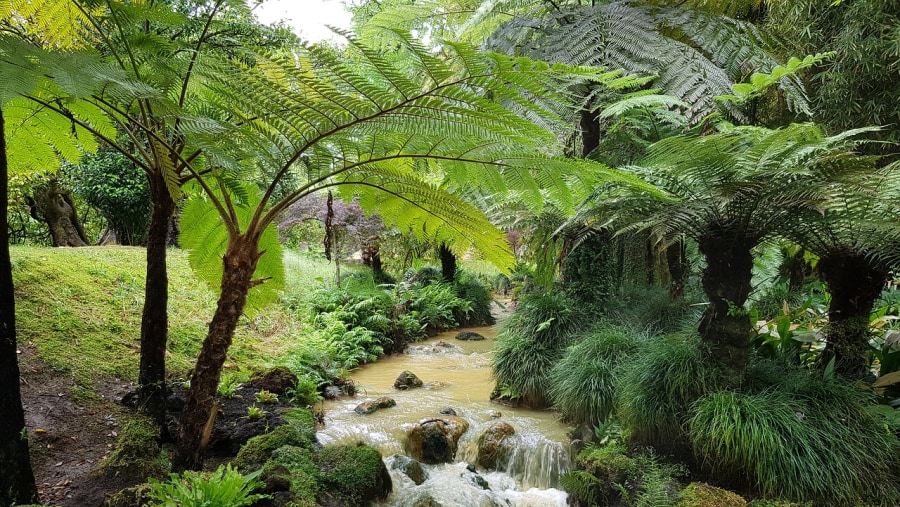 Terra Nostra Park, São Miguel