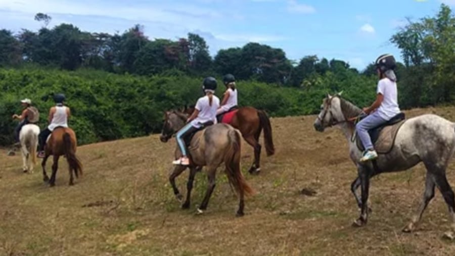 Horseback Riding Tour