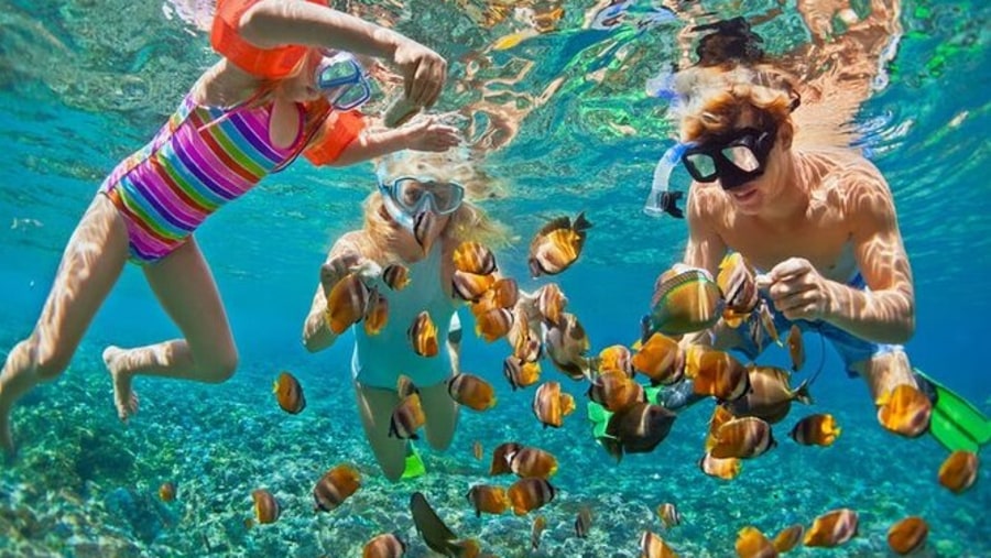 Tourists snorkeling with the sea life of the Red Sea