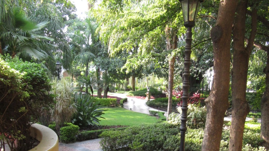 Lush Gardens