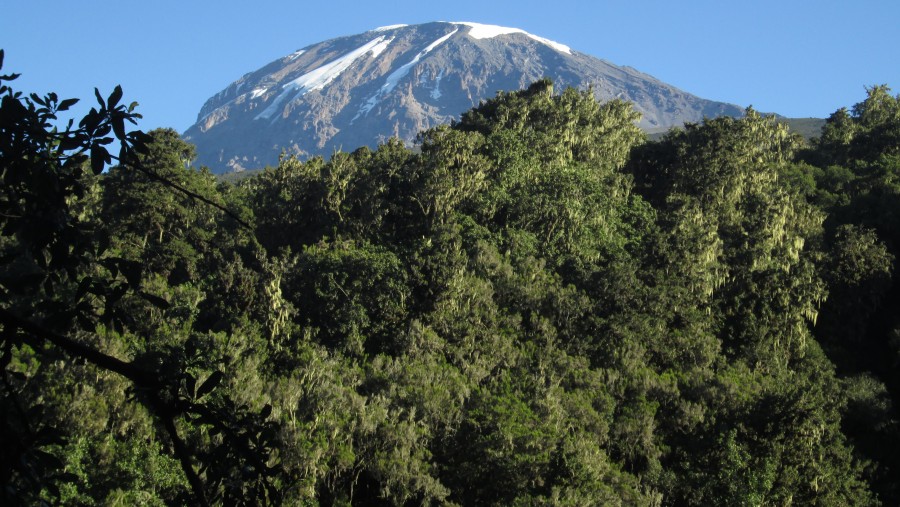 Lemosho Route to Kilimanjaro