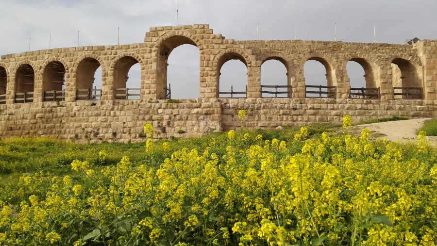 Roman ruins at Jerash