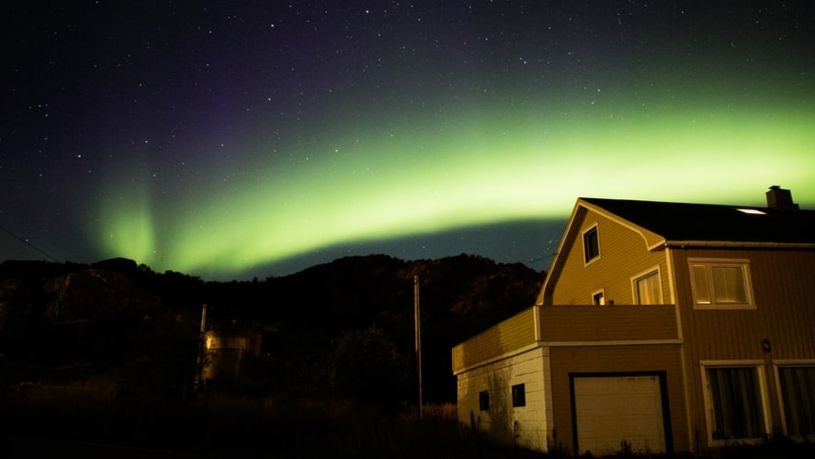 Enjoy a magnificent view of the Northern Lights in Lofoten