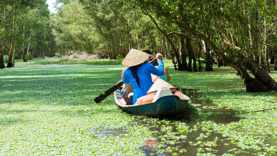 Boating In Mekong Delta, Vietnam