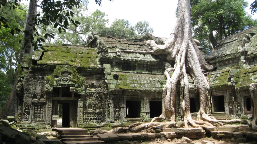 Ta Prohm Temple