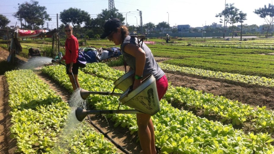 water farm crops