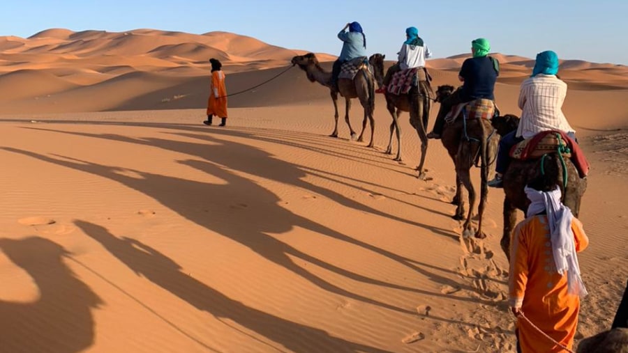 Balade sur les dunes en dromadaire