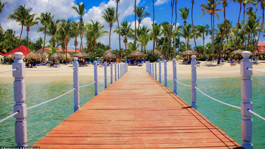 View of Palm Trees on Beach