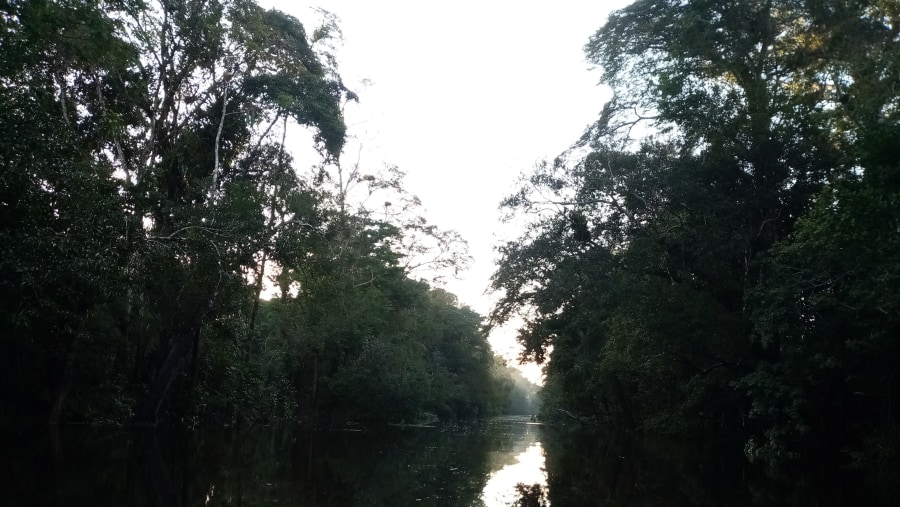 Yanayacu river 