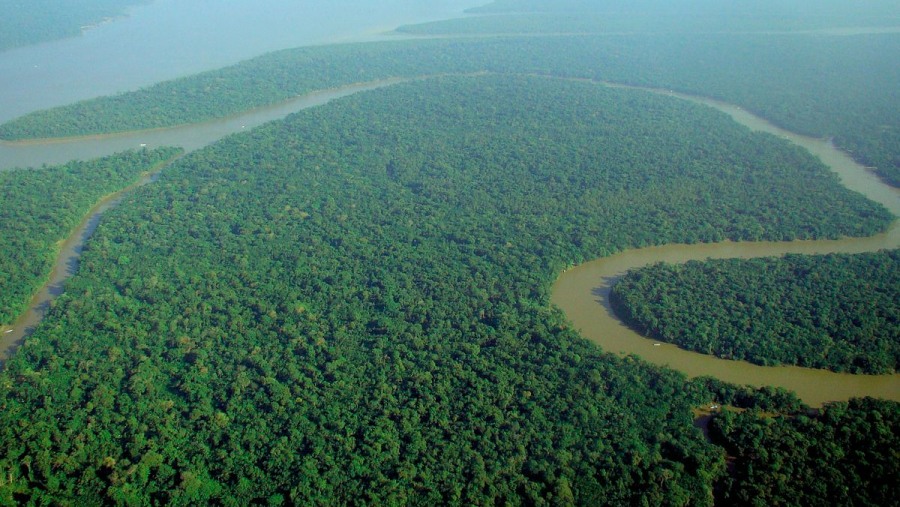 Amazon Rainforest