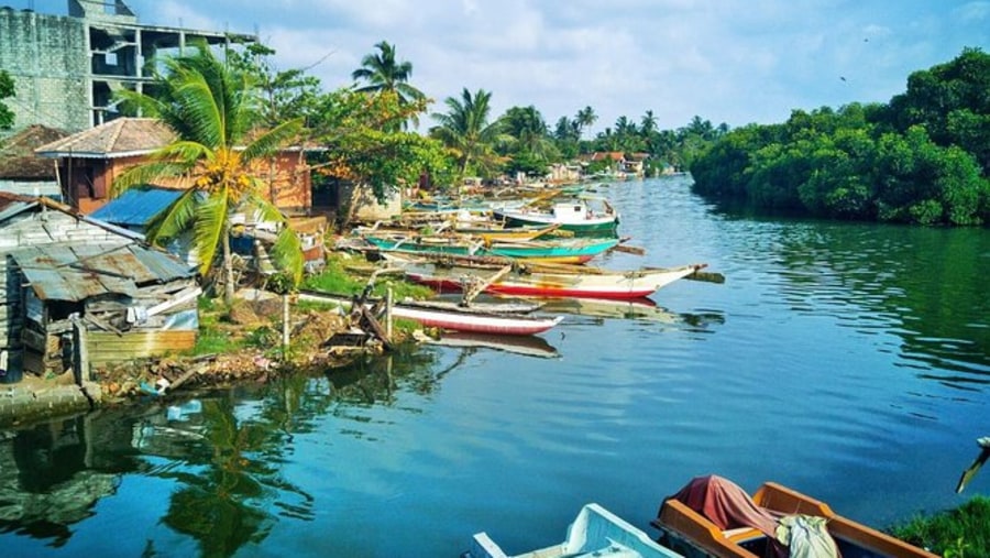 Head to the Negombo lagoon