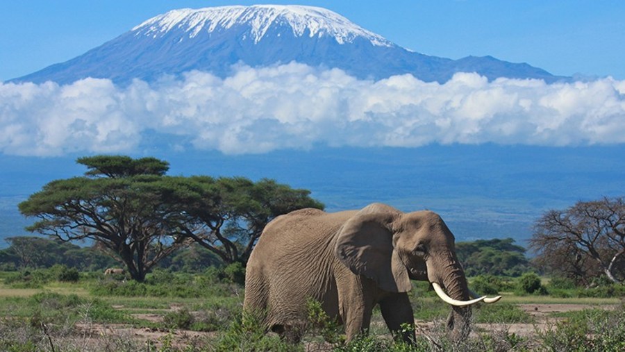 View of Mount Kilimanjaro