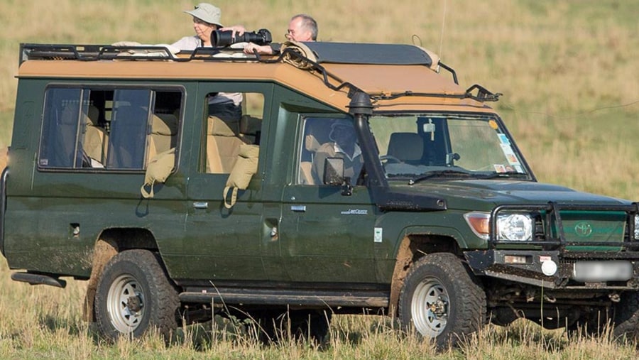 Go on Game Drives