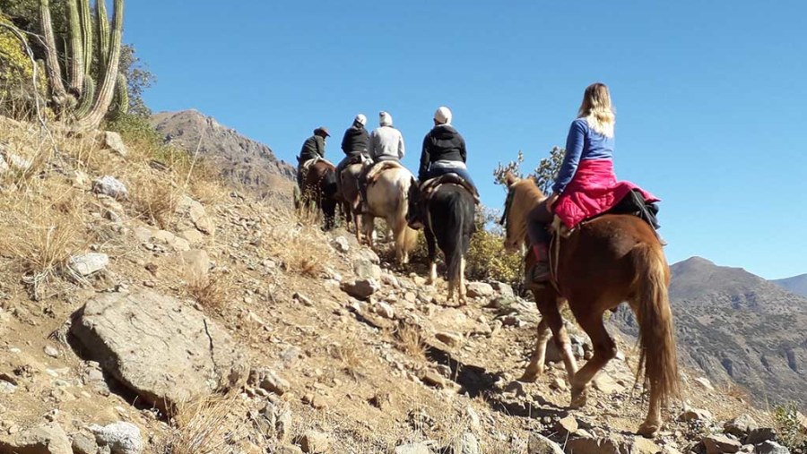 Horse riding in the Andes