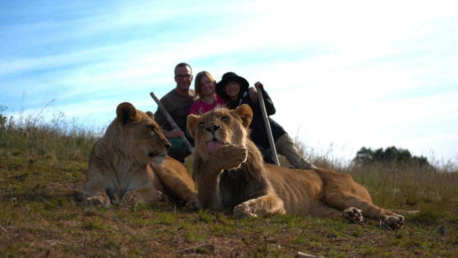 Posing with Lions