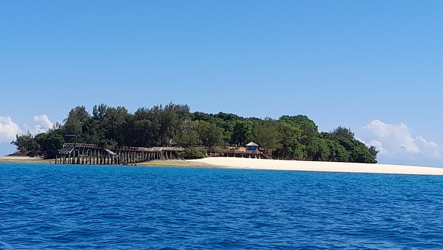 Visit Prison Island, Tanzania