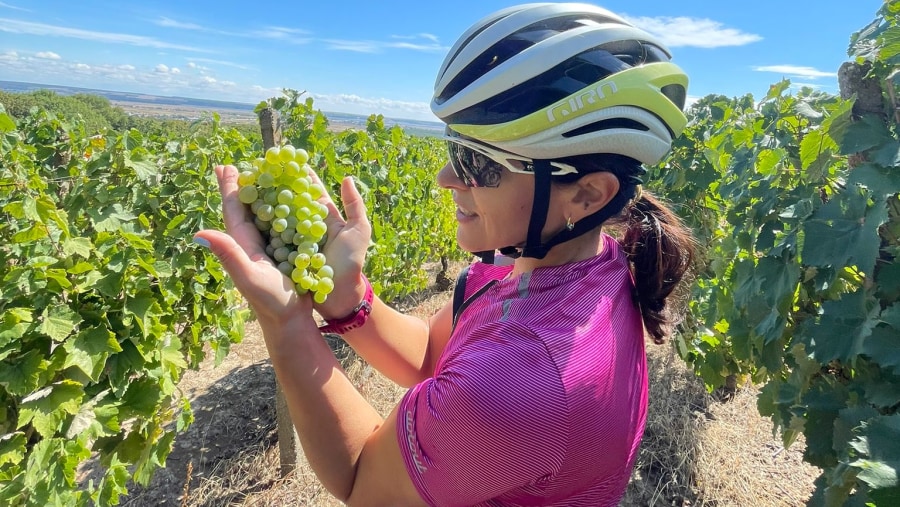 Traveller holding grapes