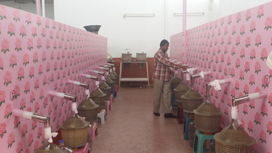 Rose Factory In Taif, Saudi Arabia