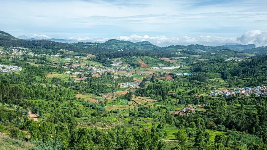 Ooty landscapes
