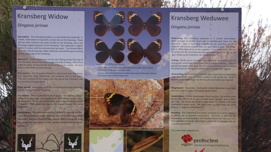 Information about the fauna of the land
