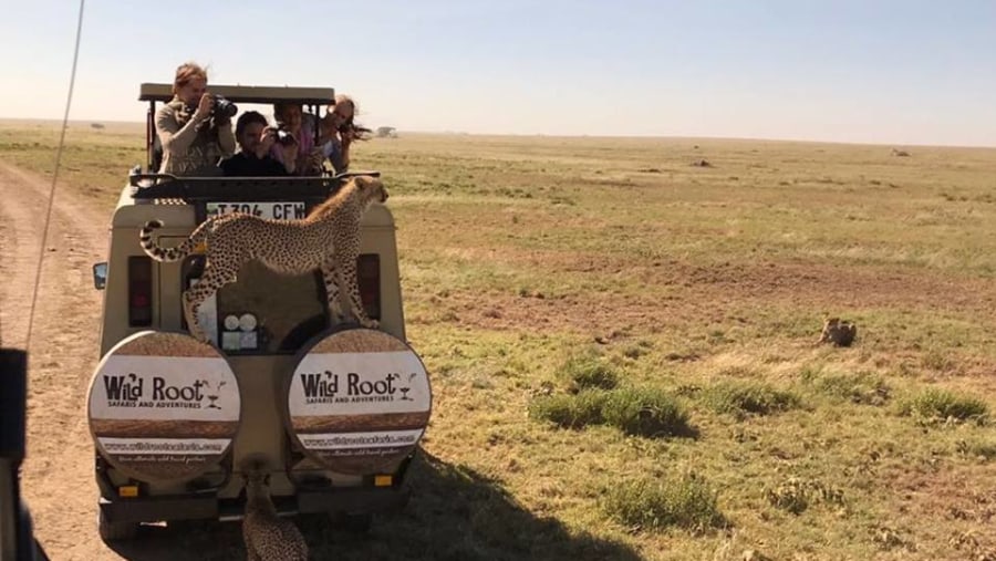 Go on Safari Jeep adventures