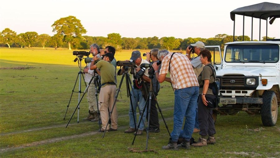 Pantanal Photo Safari