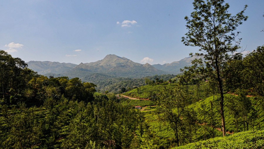 Admire a Scenic View of Wayanad