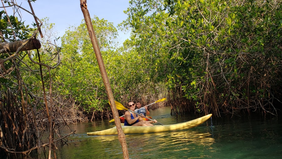Barra de Potosi  Lagoon - kayak tour