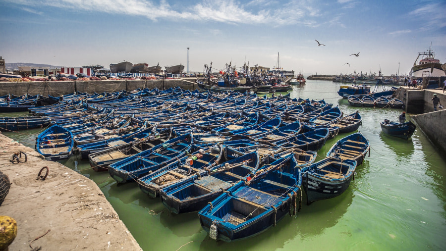 Boats in Essaouira