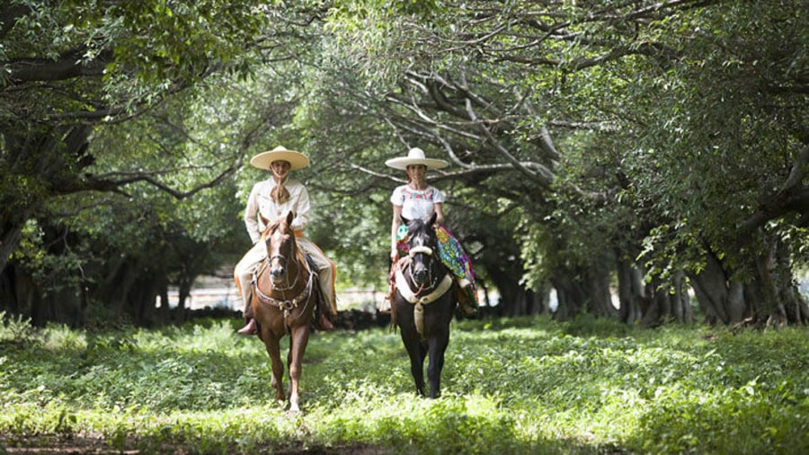 Locals exploring the Tequila routes.