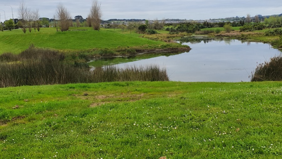 View at Barry Curtis Park