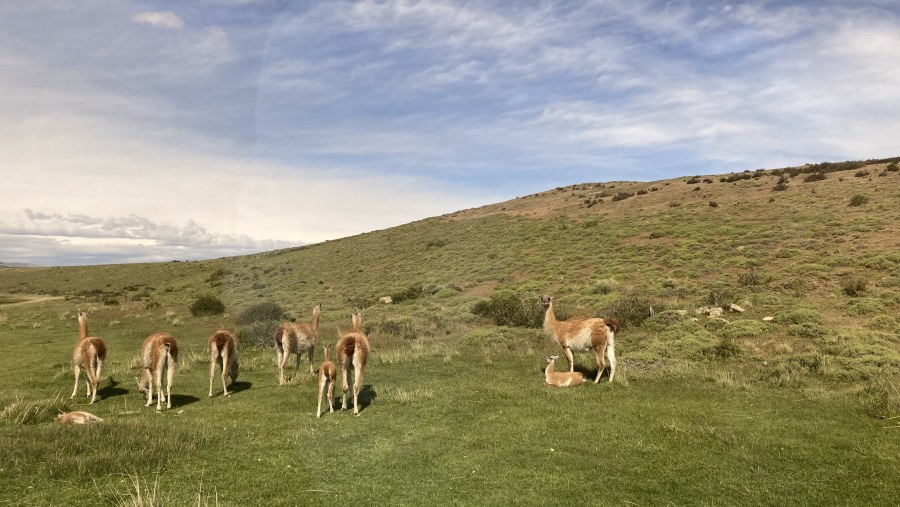 Torres Del Paine National Park